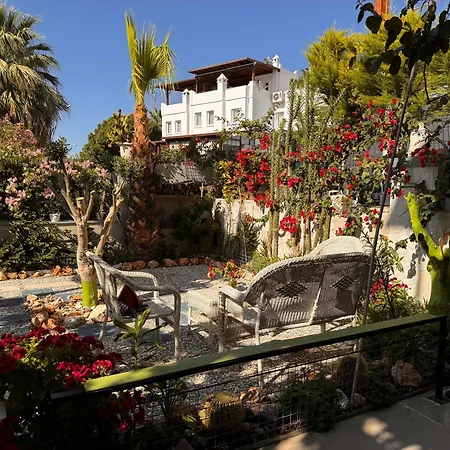 Hanci Evleri Lägenhet *